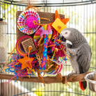 2644 Fiesta Foraging Board - Bonka Bird Toys