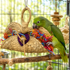 950 Taco Bird Toy - Bonka Bird Toys