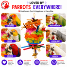 2247 Round Foraging Star Piñata - Bonka Bird Toys