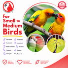 3488 Cake Party - Bonka Bird Toys