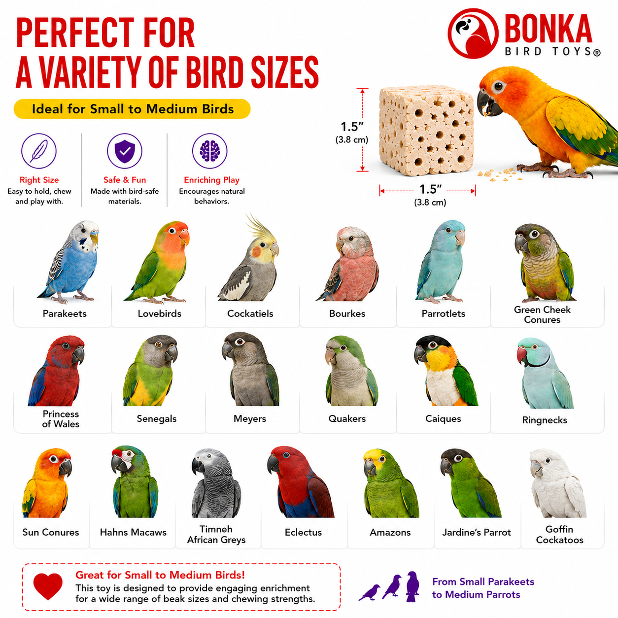 Small Sola Cubes - Bonka Bird Toys