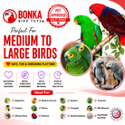 1730 Foraging Heart - Bonka Bird Toys