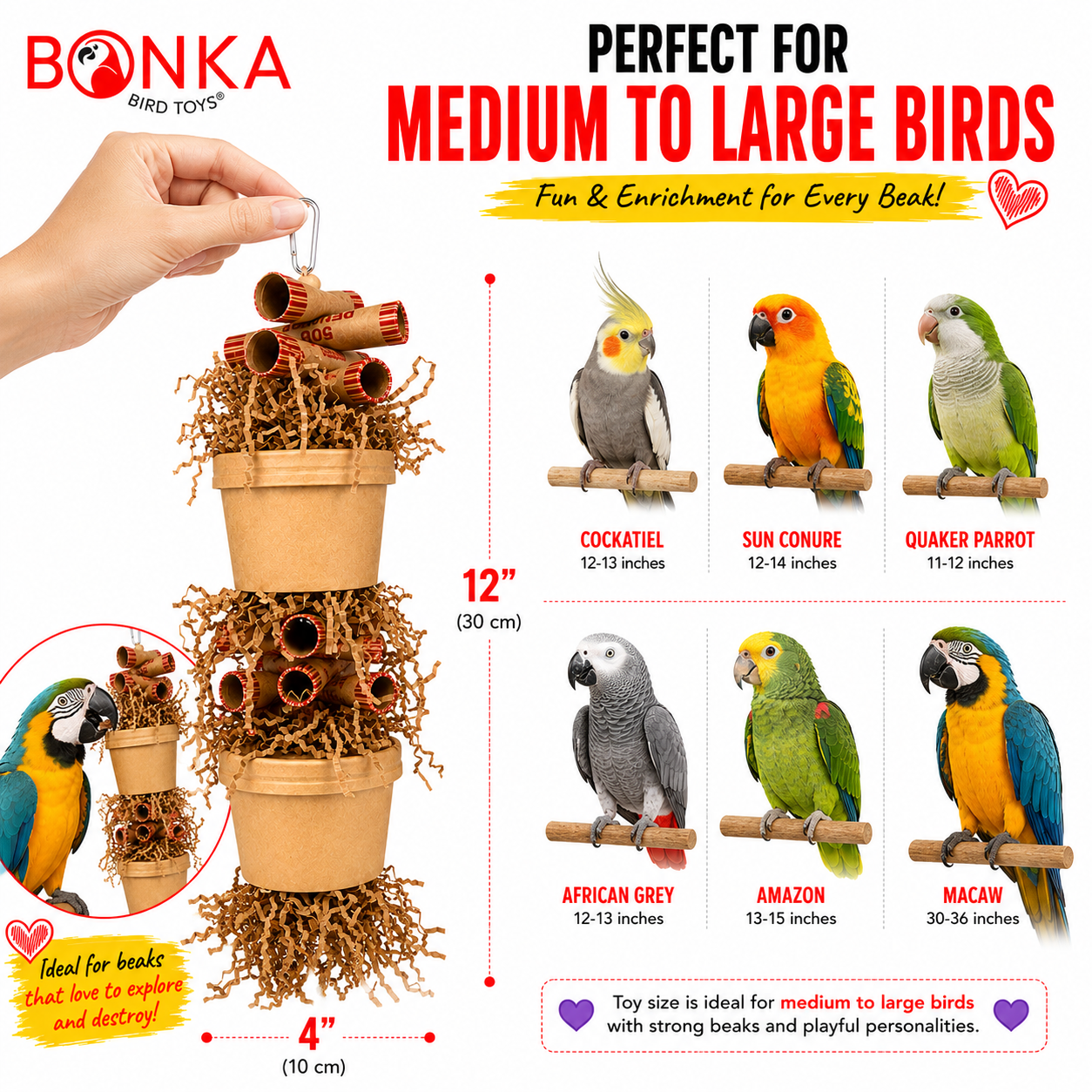 3867 Duo Money Pot - Bonka Bird Toys
