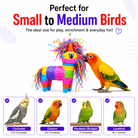3766 Piñata Donkey - Bonka Bird Toys