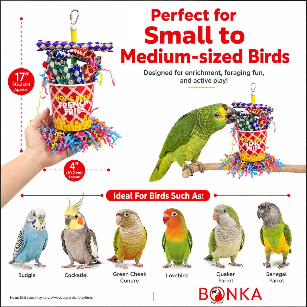 2306 French Fries - Bonka Bird Toys