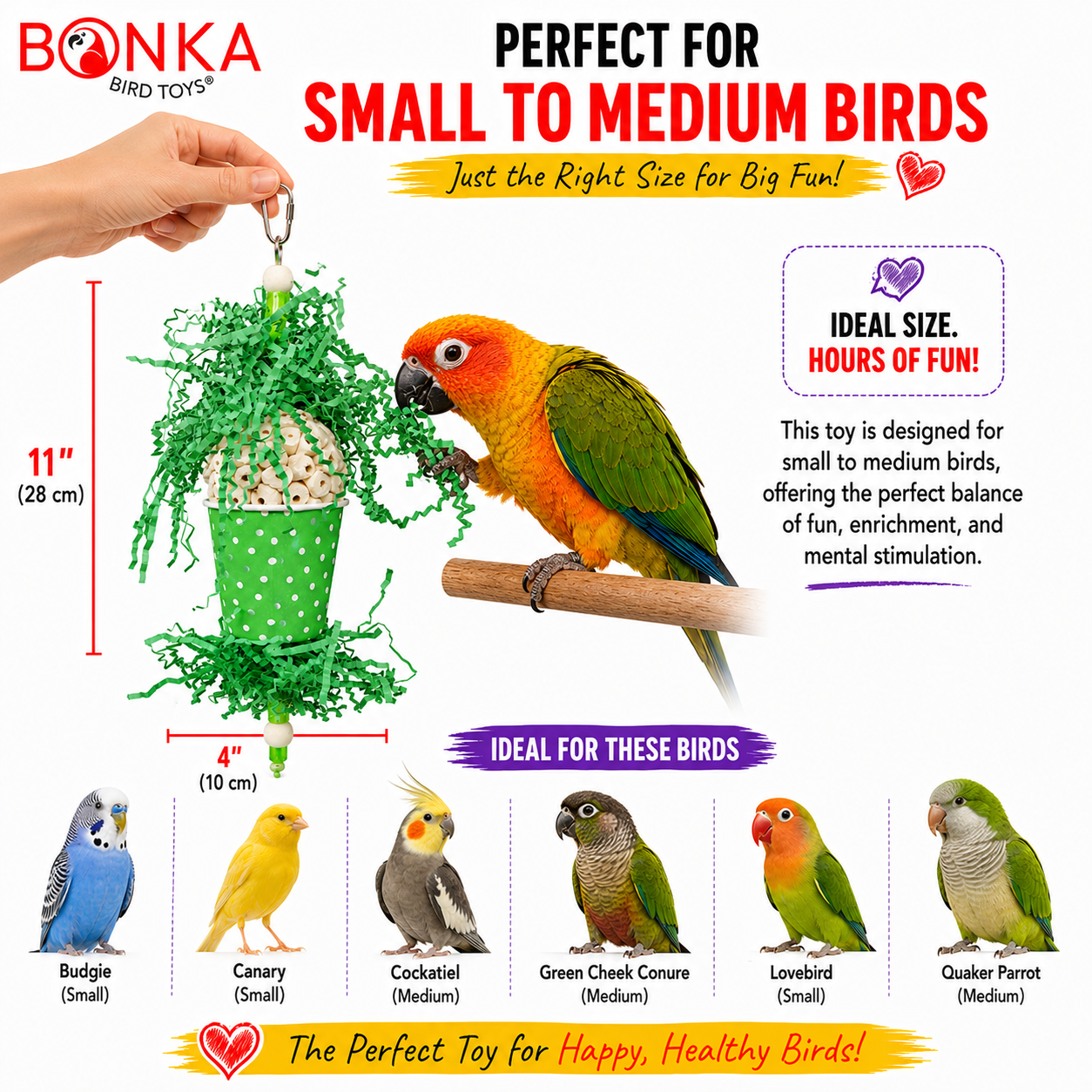 Spotty Sola Foraging Bird Toy - Bonka Bird Toys