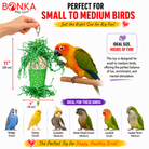 Spotty Sola Foraging Bird Toy - Bonka Bird Toys