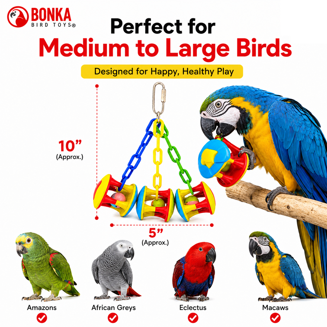 1161 Carnival Clacker - Bonka Bird Toys