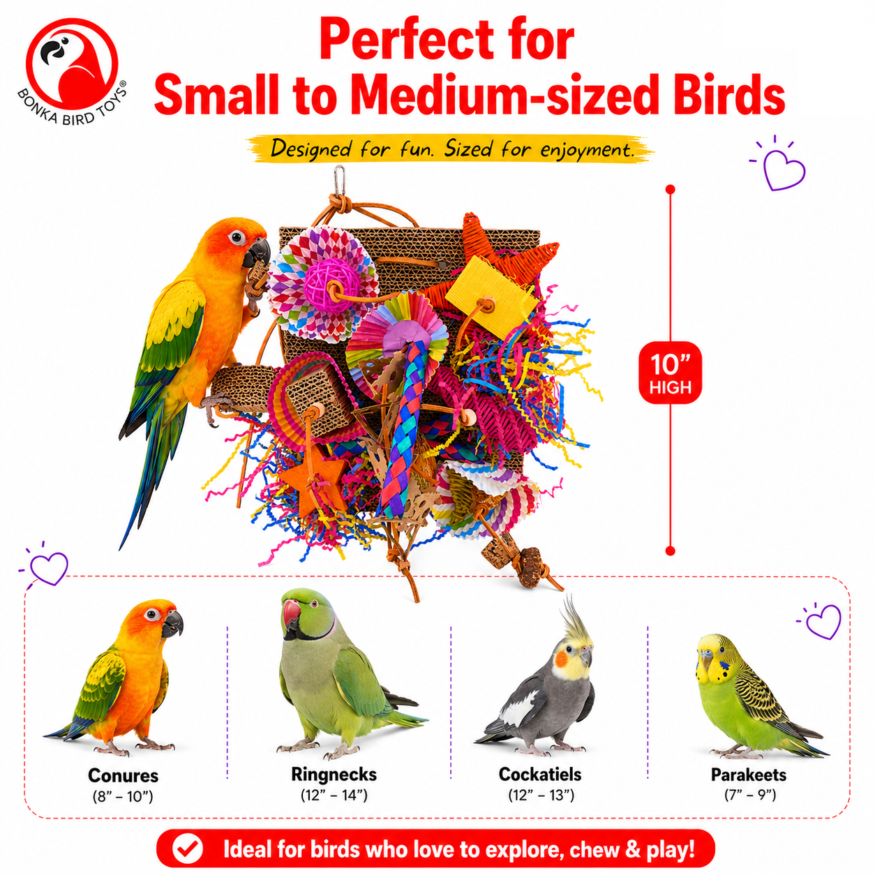 2644 Fiesta Foraging Board - Bonka Bird Toys