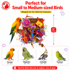 2644 Fiesta Foraging Board - Bonka Bird Toys