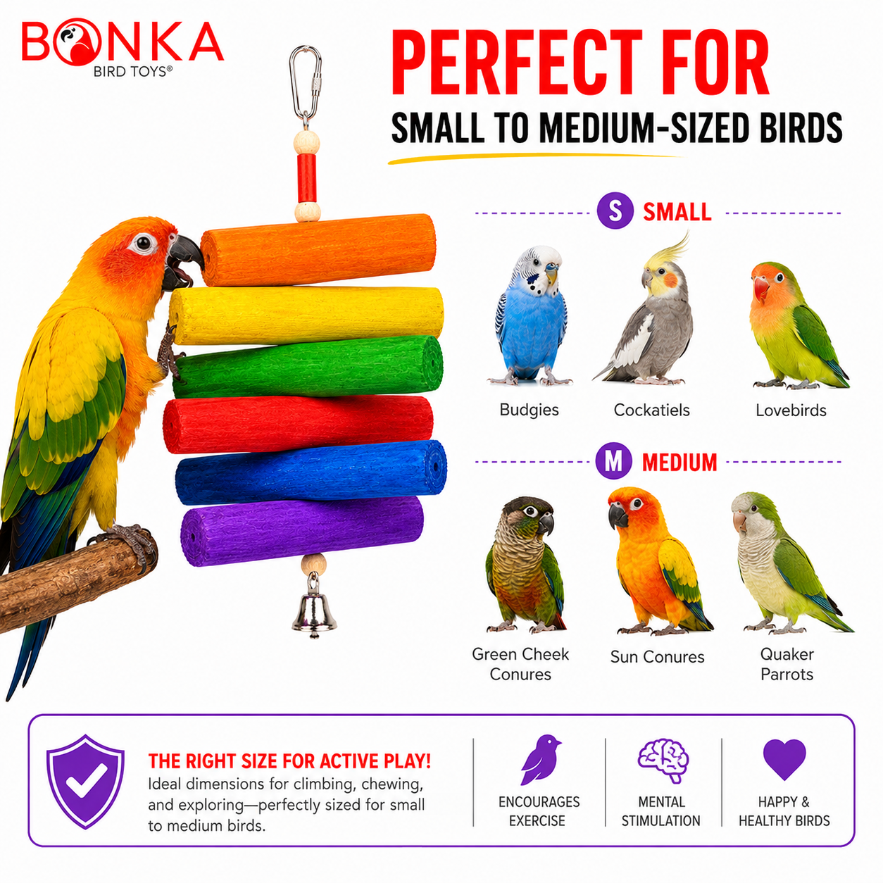 2036 Rainbow Sola - Bonka Bird Toys