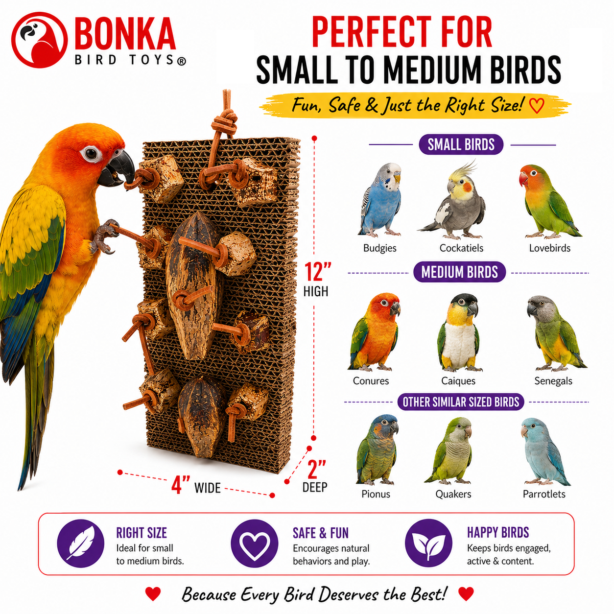 1423 Mahogany Munch Board - Bonka Bird Toys