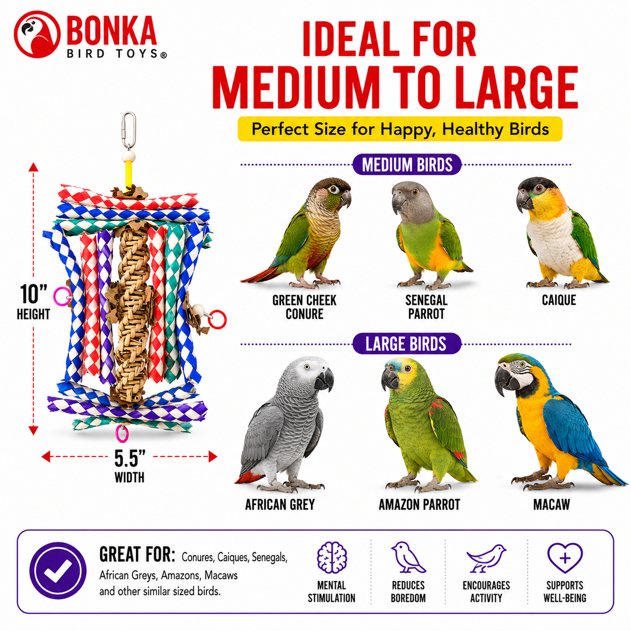 1242 Helix - Bonka Bird Toys