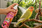 Pink Rainforest Mist Bath Spray for Small Birds 8oz - Bonka Bird Toys