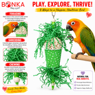 Spotty Sola Foraging Bird Toy - Bonka Bird Toys