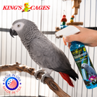 Kings Cages Rainforest Mist 17oz Bath Spray African Greys - Bonka Bird Toys
