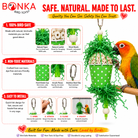 Spotty Sola Foraging Bird Toy - Bonka Bird Toys