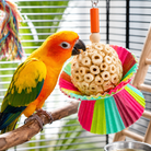 1925 Cake - Bonka Bird Toys