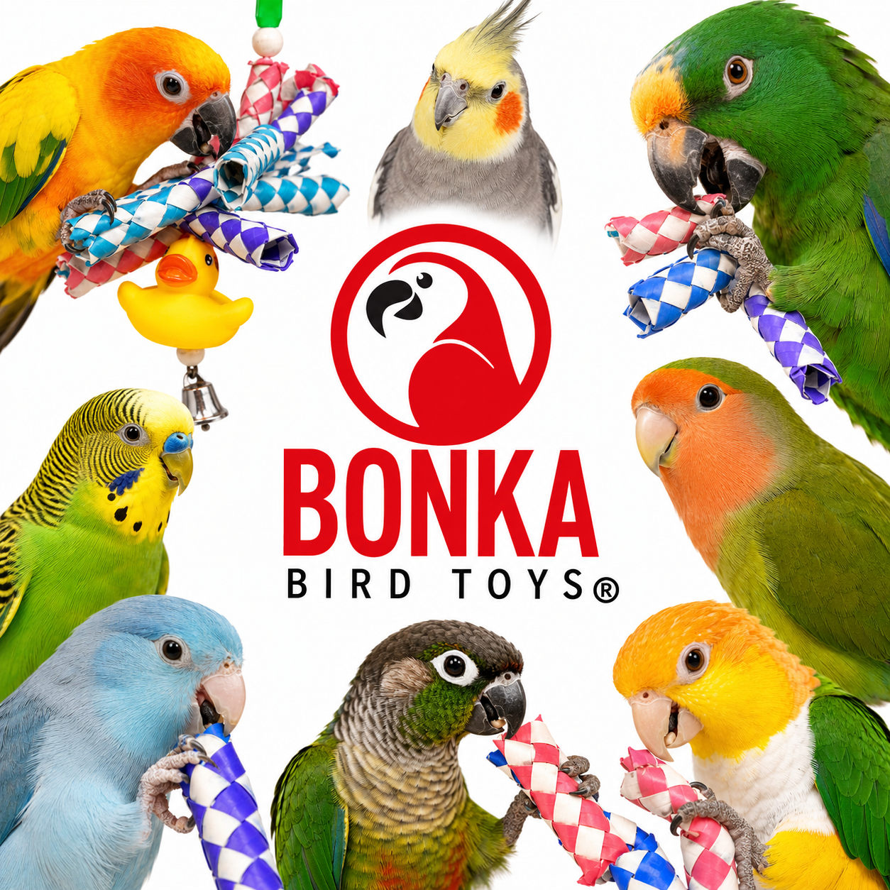 1970 Duck Trap - Bonka Bird Toys