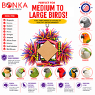 3755 Rainbow Diamond - Bonka Bird Toys