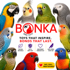 1510 Colored Colored Chunky Star - Bonka Bird Toys