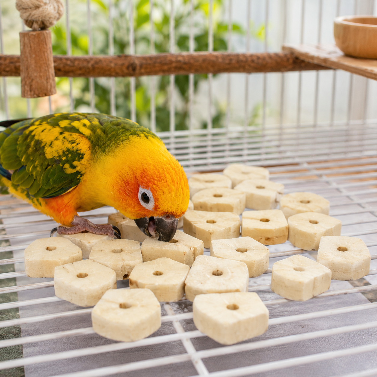 3889 Sola Squares - Bonka Bird Toys