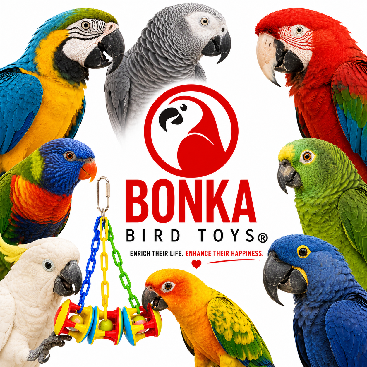 1161 Carnival Clacker - Bonka Bird Toys