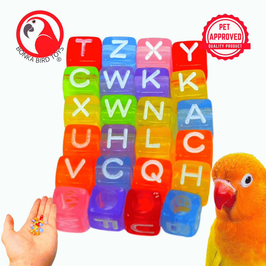 3597 Pk24 Rainbow ABC Beads - Bonka Bird Toys