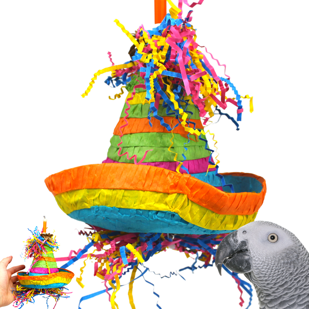 2198 Pinata Hat - Bonka Bird Toys