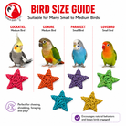 2783 Pk6 Small Color Vine Stars - Bonka Bird Toys