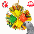 03395 Medium Happy Holly - Bonka Bird Toys