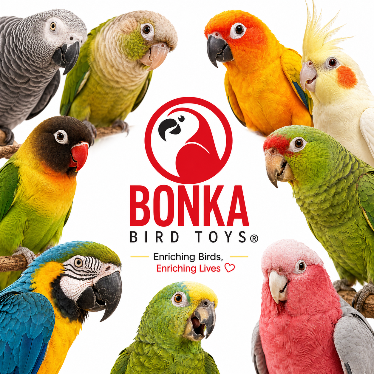 1148 Long Sola Star - Bonka Bird Toys