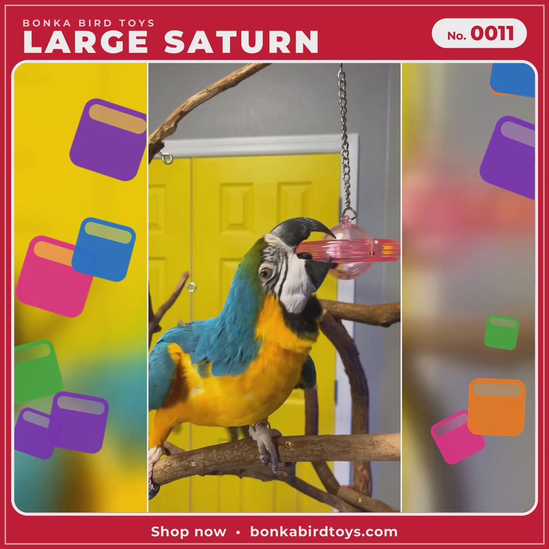 Bonka Bird Toys Large Saturn 0011 parrot toy video