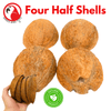 Bonka Bird Toys 3275 Pk4 Half Shell Coconuts with Fiber
