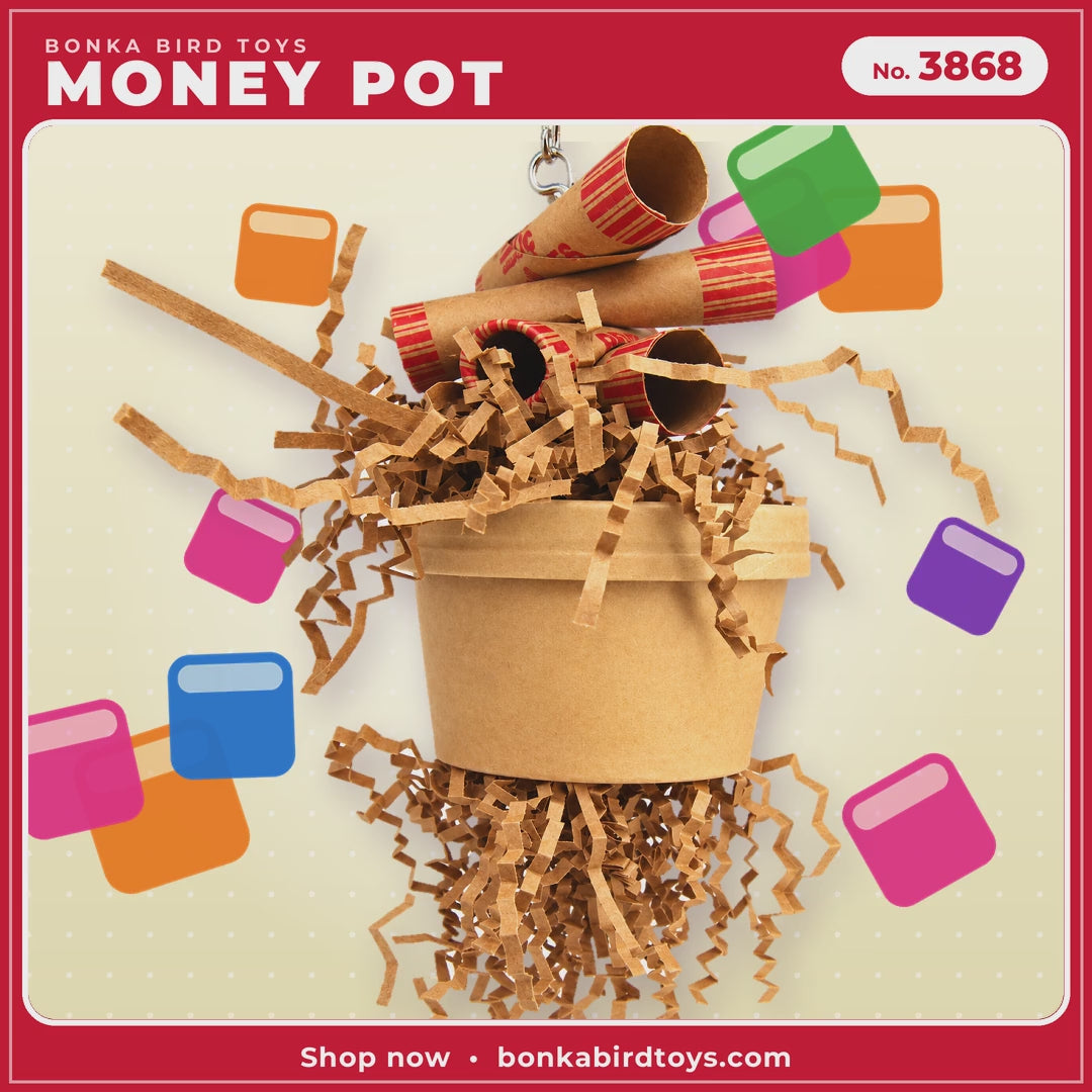 Bonka Bird Toys Money Pot 3868 parrot toy video