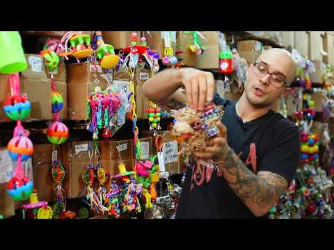 3450 Paper Shred - Bonka Bird Toys video