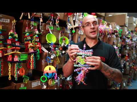 1730 Foraging Heart - Bonka Bird Toys video