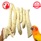 Natural Gobi Tail - Bonka Bird Toys