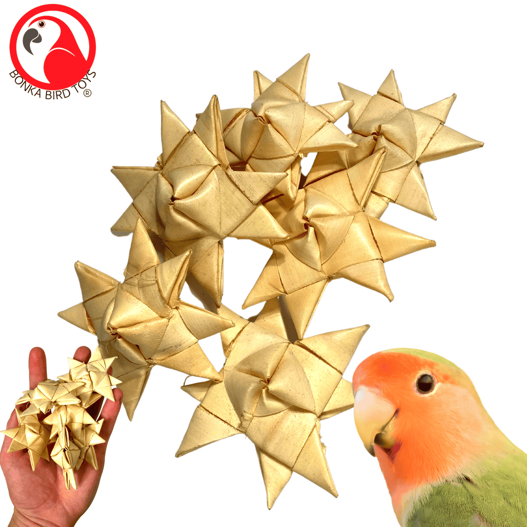 3321 Pk6 Palm Star - Bonka Bird Toys