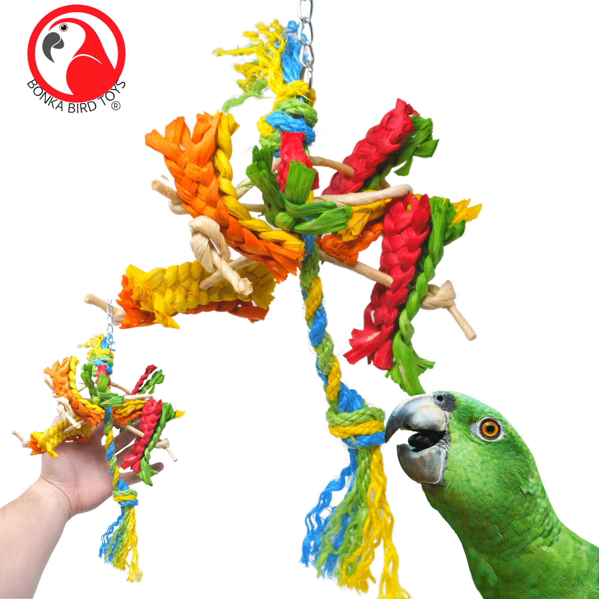 2413 Spiney Carnival - Bonka Bird Toys