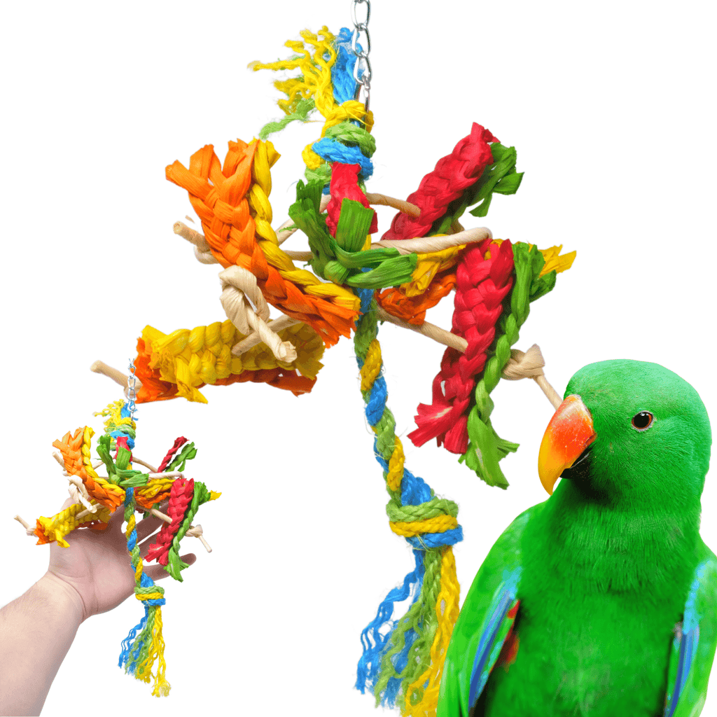 2413 Spiney Carnival - Bonka Bird Toys
