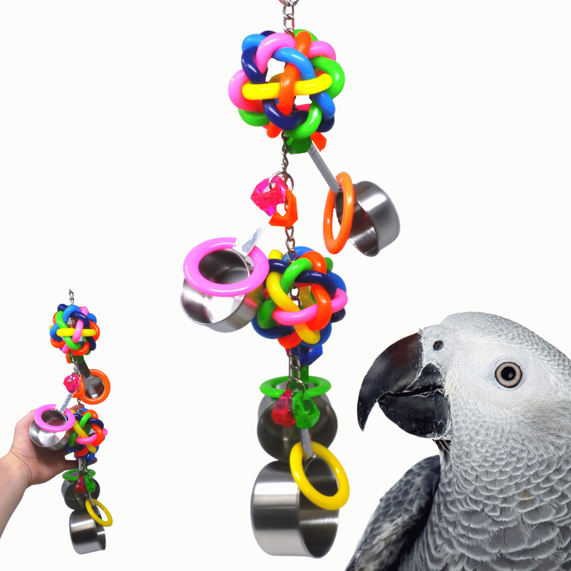 2168 Duo Pot Ring - Bonka Bird Toys