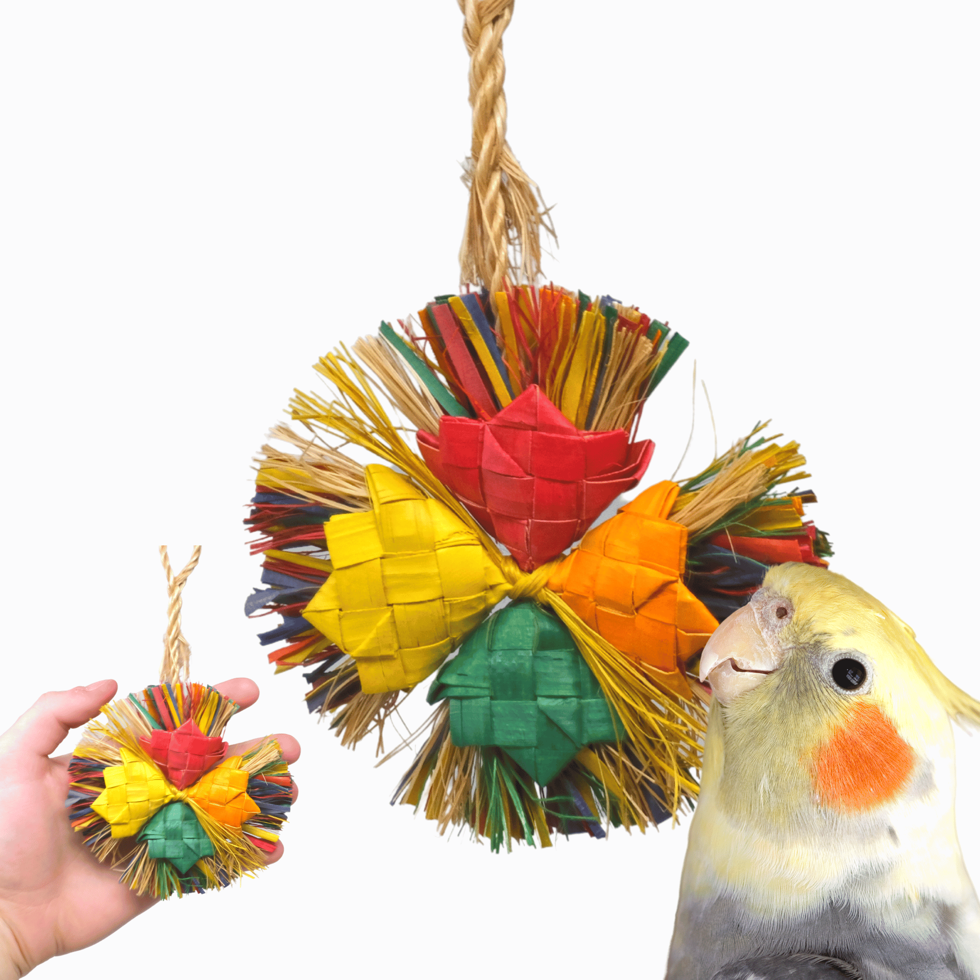 03394 Small Happy Holly - Bonka Bird Toys