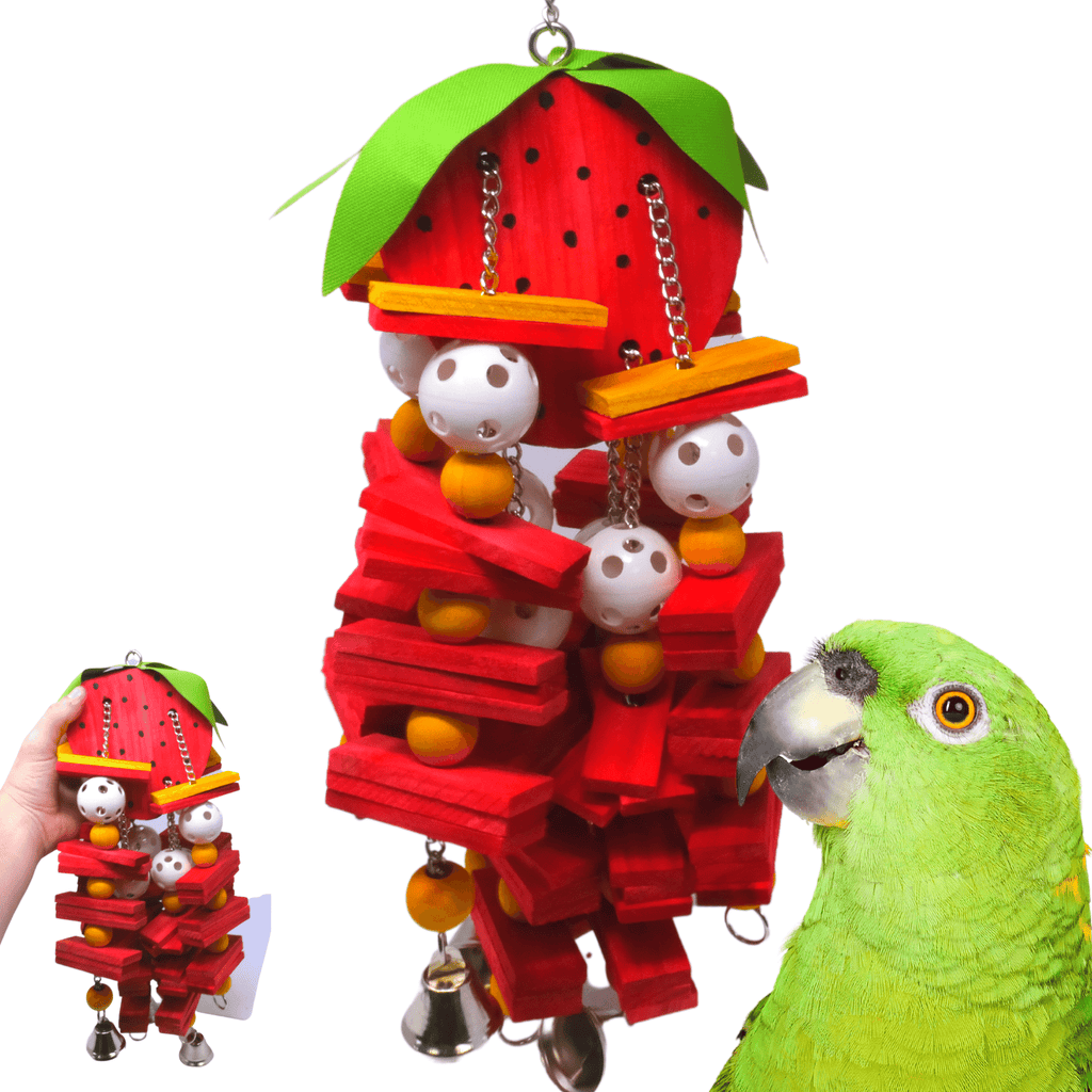 2457 Large Strawberry - Bonka Bird Toys
