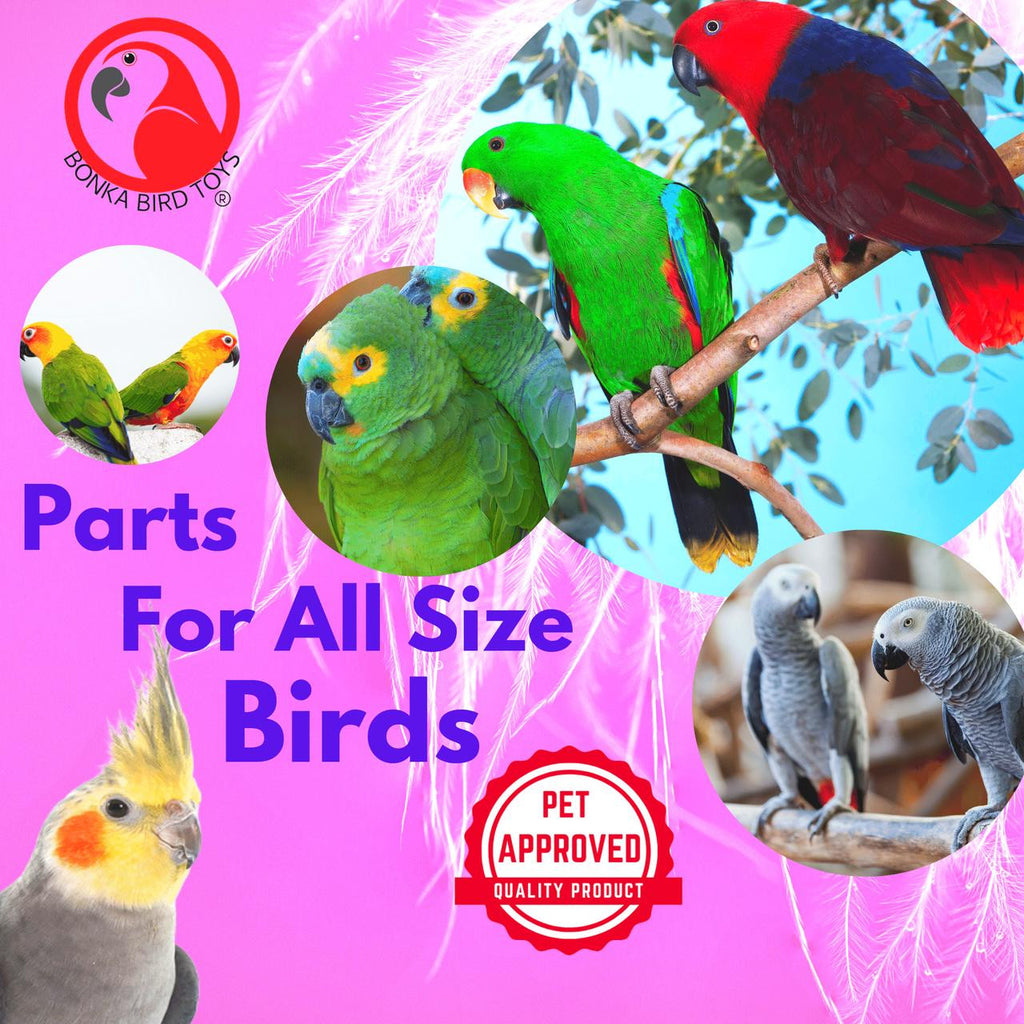 3337 Pk3 Vine Bird - Bonka Bird Toys