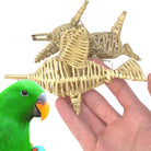 3337 Pk3 Vine Bird - Bonka Bird Toys