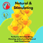 3773 Pk 6 Tiny Ducks from Bonka Bird Toys are beautiful bird enticing foot toys that look great in any cage or aviary you decide to install them in. The tiny ducks all have smooth edges that feel great in pet bird beaks and feet.