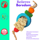 2854 Bagel Wheel - Bonka Bird Toys