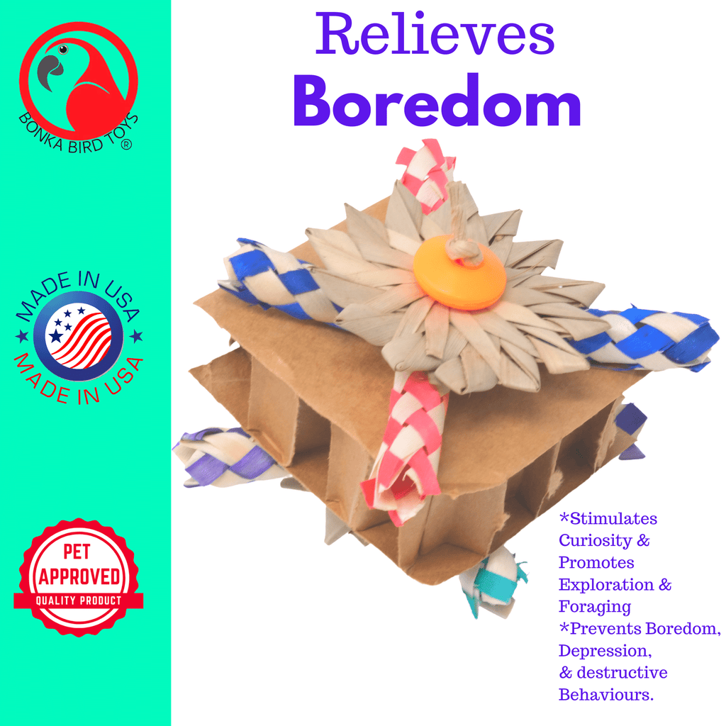 Party Box - Bonka Bird Toys