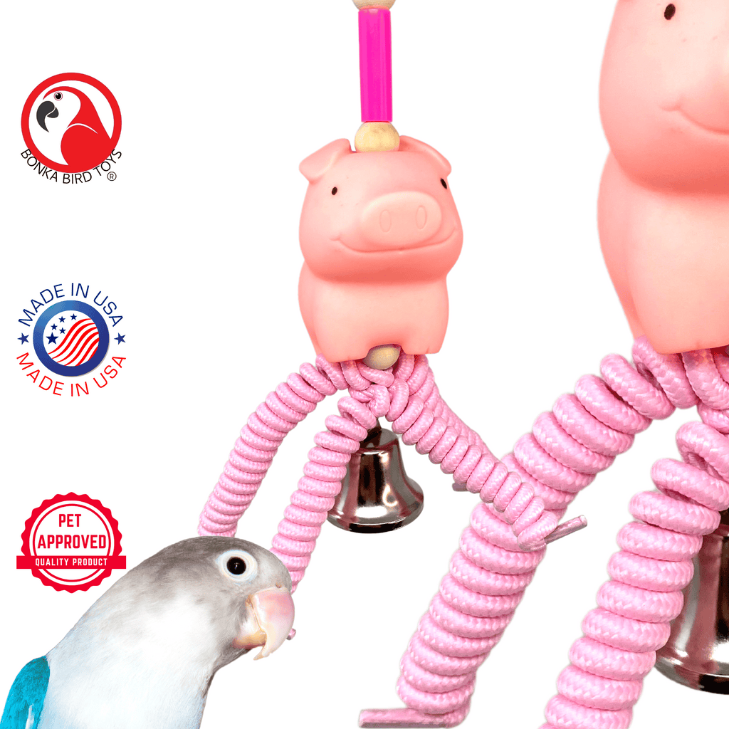 2898 Wiggly Pig - Bonka Bird Toys